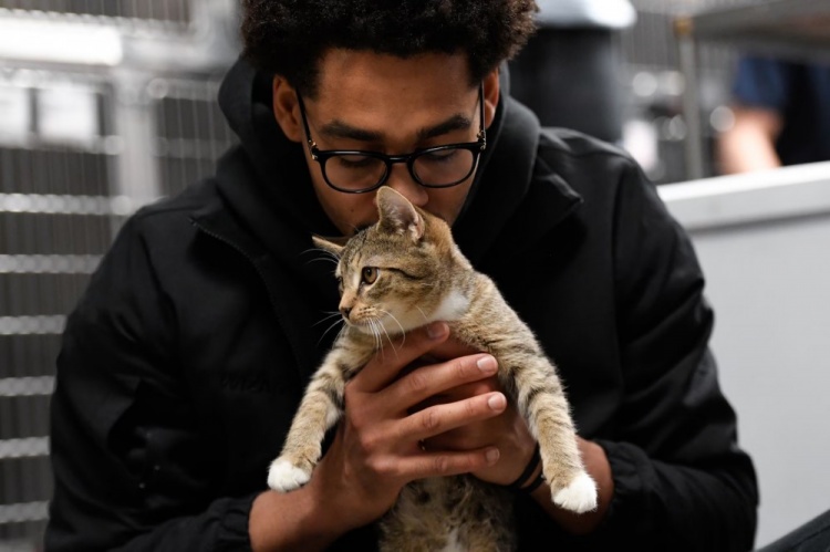 普尔：NBA里养猫的人很多 草莓社区短视频有一个秘密的圈子常私下交流